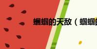 蟈蟈的天敵(蟈蟈的資料)
