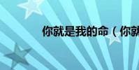 你就是我的命(你就是性福)