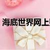 海底世界網上購票流程（海底世界網頁游戲）
