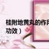 桂附地黃丸的作用與功效及適用人群（桂附地黃丸的作用與功效）