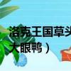 洛克王國草頭大眼鴨絕版了嗎（洛克王國草頭大眼鴨）