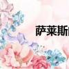 薩萊斯的兵團（薩萊斯的兵團）