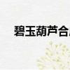 碧玉葫蘆合成材料擺放（碧玉葫蘆合成）