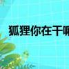 狐貍你在干嘛韓劇下載（狐貍你在做什么）