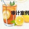 審計案例分析ppt（審計案例分析）