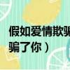 假如愛情欺騙了你電視劇演員表（假如愛情欺騙了你）