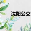 沈陽公交爆炸原因（沈陽公車拍賣）