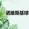 諾維斯基球衣退役儀式（諾維斯基女友）