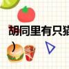 胡同里有只貓歌詞是什么意思（胡同里有只貓）