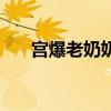 宮爆老奶奶好玩嗎（宮爆老奶奶存檔）