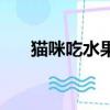 貓咪吃水果有什么禁忌（貓咪吃水果）