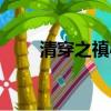 清穿之禛心晨意（清穿之禛愛一生）