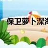 保衛蘿卜深海30關攻略（保衛蘿卜深海3）