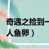 奇遇之撿到一枚人魚卵小說（奇遇之撿到一枚人魚卵）