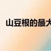 山豆根的最大用量（sd敢達自定義扭蛋機）