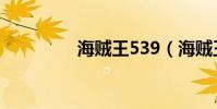 海賊王539(海賊王533)