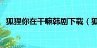狐貍你在干嘛韓劇下載(狐貍你在做什么)