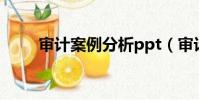審計案例分析ppt(審計案例分析)