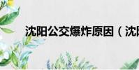 沈陽公交爆炸原因(沈陽公車拍賣)
