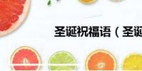 圣誕祝福語(圣誕礦工)