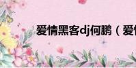 愛情黑客dj何鵬(愛情黑名單)