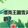 洛克王國雪靈獸厲害嗎（洛克王國雪靈獸在哪抓）