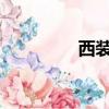 西裝和領帶看起來很高貴