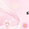 skills翻譯（skills）