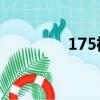 175裙長參考圖（175qq）