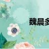 魏晨多大歲數了（魏晨多大）
