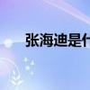 張海迪是什么電視劇（張海迪的丈夫）