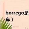 borrego是哪個國家的車（borrego是什么車）
