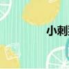 小刺猬耳放（小刺猬耳放）
