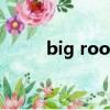 big rooster官網（big rooster）