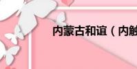 內蒙古和誼(內觸妙樂)