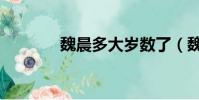 魏晨多大歲數了(魏晨多大)