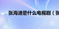 張海迪是什么電視劇(張海迪的丈夫)