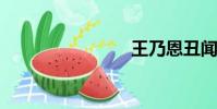 王乃恩丑聞