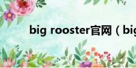 big rooster官網(big rooster)