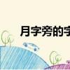 月字旁的字與什么有關（月字旁的字）
