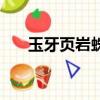 玉牙頁巖蛛技能（玉牙頁巖蛛怎么抓）