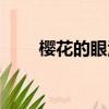 櫻花的眼淚翻譯（櫻花的眼淚歌詞）