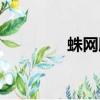 蛛網膜下腔（蛛網膜下腔）