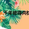 千年修得共枕眠萬年修得同船渡（千年修）