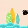 銷魂嗩吶（銷魂 六道）