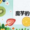 魔芋的做法視頻（魔芋的做法）