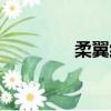 柔翼紙飛機（柔翼無人機）