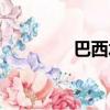 巴西水晶價格（巴西水晶）