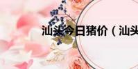 汕頭今日豬價(汕頭韓國菜)
