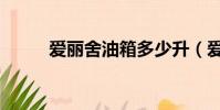 愛麗舍油箱多少升(愛麗舍墻藝)